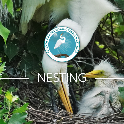 Nesting cover